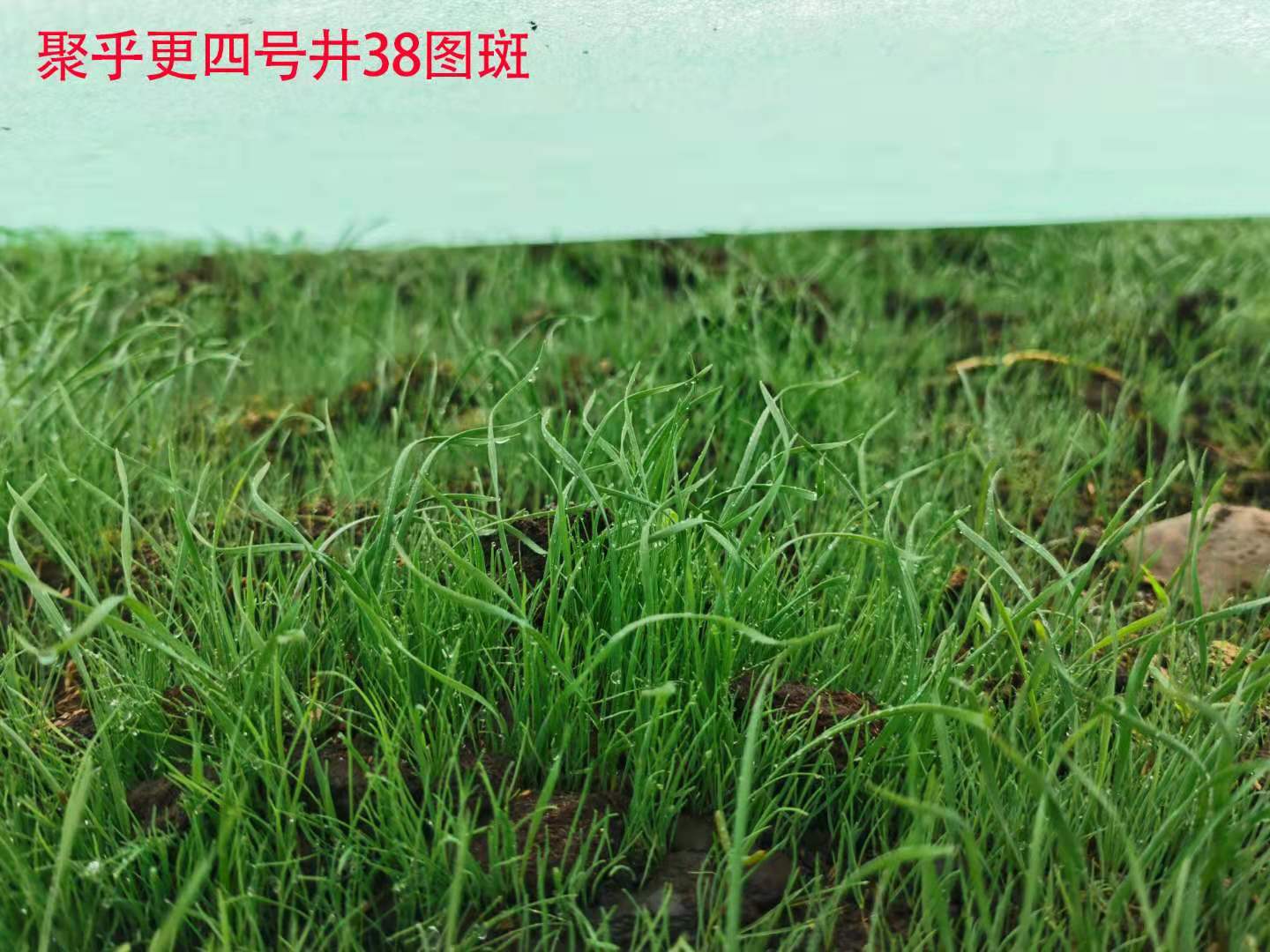 微信圖片_202107131923215.jpg