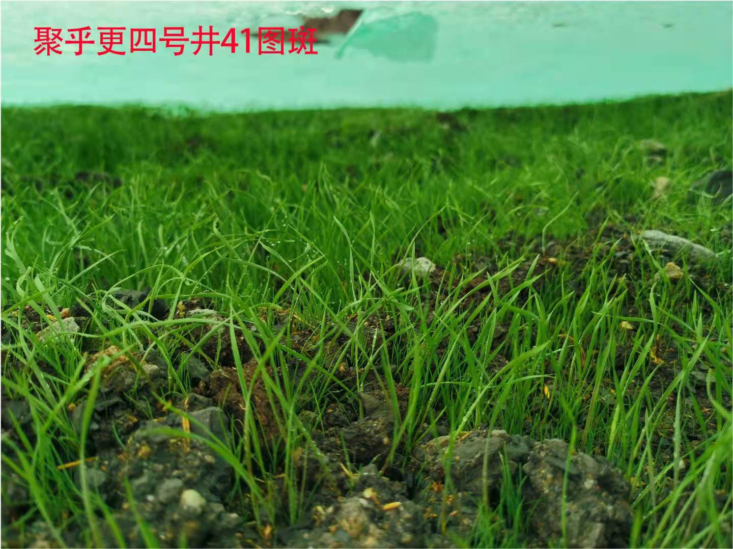 微信圖片_202107131923218.jpg