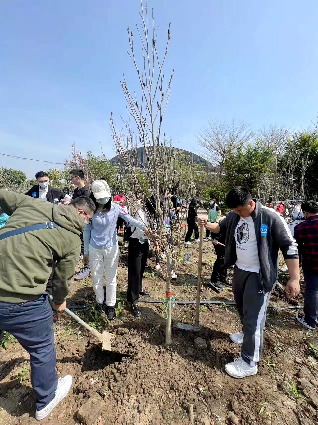 中煤江南團委舉行“同心薈翠，綠滿珠江”主體團日活動3.jpg