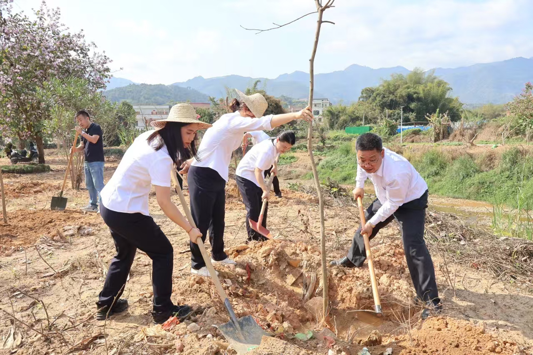 地環(huán)公司于羅定市開展主題黨日暨植樹活動黨員齊心協(xié)力種植樹苗.jpg