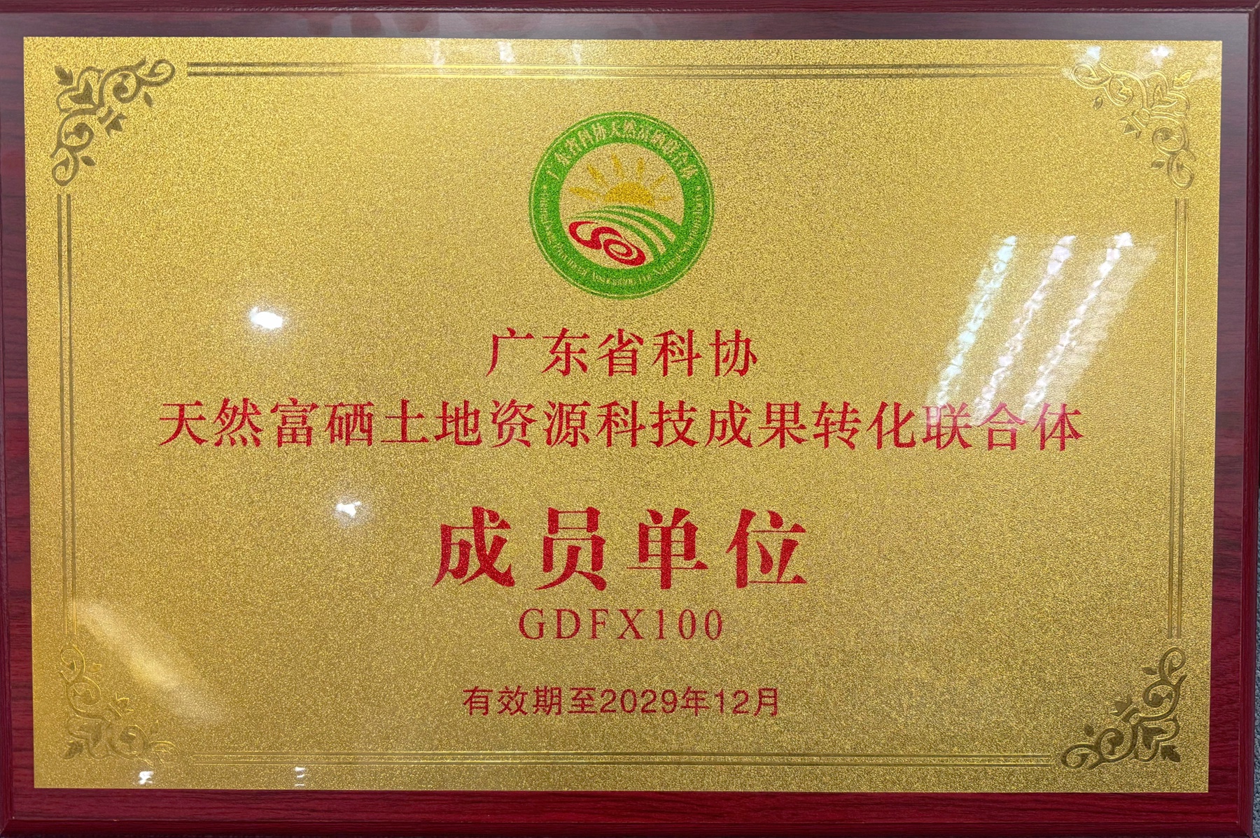 照片1.jpg